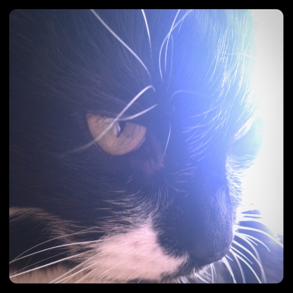 Meet your Posher, Melissa - Picture 1 of 1